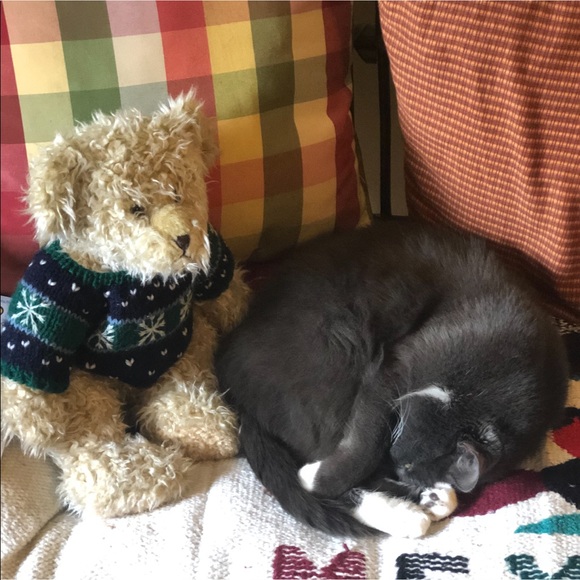 Fiona, My Posh Helper - Picture 10 of 10